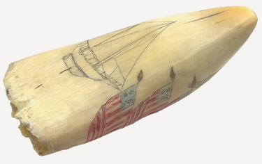 Rare 19th Century POLYCHROME SCRIMSHAW WHALE'S TOOTH