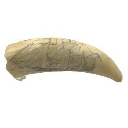Rare 19th Century SCRIMSHAW WHALE'S TOOTH By Jacob A. Howland
