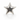Tiffany & Co., Silver Star Brooch